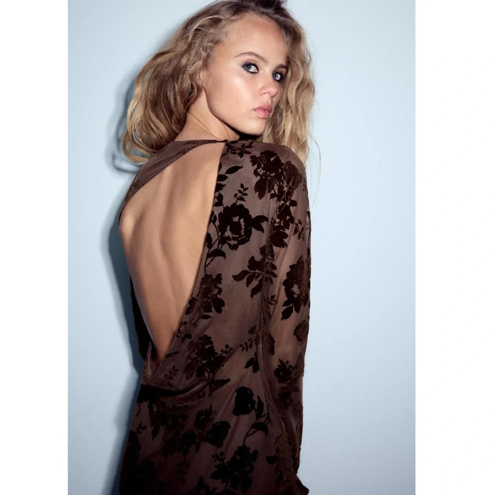 Zara LONG TULLE FLOCKED DRESS_6